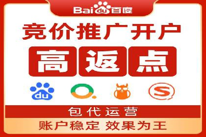 搜索引擎营销（SEM）公司某某的客户成功故事
